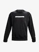 Herren Hoodie Under Armour