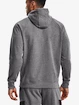 Herren Hoodie Under Armour