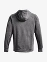 Herren Hoodie Under Armour