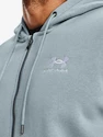 Herren Hoodie Under Armour
