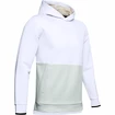 Herren Hoodie Under Armour