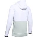 Herren Hoodie Under Armour