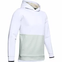 Herren Hoodie Under Armour