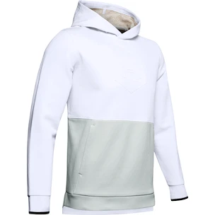 Herren Hoodie Under Armour