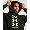 Herren Hoodie Under Armour