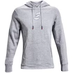 Herren Hoodie Under Armour