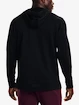 Herren Hoodie Under Armour  TERRY HOODIE-BLK