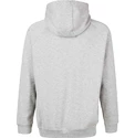 Herren Hoodie Virtus Oralie Hoody Grey