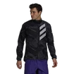 Herren Jacke adidas  Terrex Parley Agravic Wind Grey Six