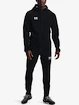 Herren Jacke Under Armour
