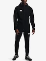 Herren Jacke Under Armour