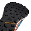 Herren Laufschuhe adidas  Terrex