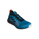 Herren Laufschuhe adidas  Terrex