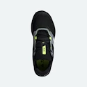 Herren Laufschuhe adidas  Terrex Two Flow