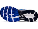 Herren Laufschuhe Asics