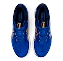 Herren Laufschuhe Asics