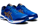 Herren Laufschuhe Asics