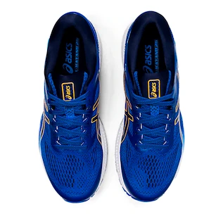 Herren Laufschuhe Asics