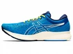 Herren Laufschuhe Asics  Evoride