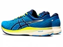 Herren Laufschuhe Asics  Evoride