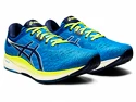 Herren Laufschuhe Asics  Evoride