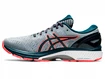 Herren Laufschuhe Asics  Gel Kayano