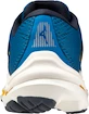 Herren Laufschuhe Mizuno  Wave Inspire