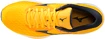 Herren Laufschuhe Mizuno  Wave Rider