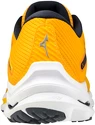Herren Laufschuhe Mizuno  Wave Rider