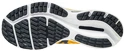 Herren Laufschuhe Mizuno  Wave Rider