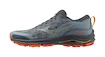 Herren Laufschuhe Mizuno Wave Rider Tt Lead/Citrus/Hot Coral