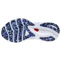 Herren Laufschuhe Mizuno  Wave Sky 5 Blackened Pearl