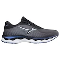 Herren Laufschuhe Mizuno  Wave Sky 5 Blackened Pearl