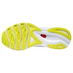 Herren Laufschuhe Mizuno  Wave Sky 5 Gibraltar Sea