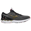 Herren Laufschuhe Mizuno  Wave Skyrise 2 Frost Gray