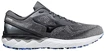 Herren Laufschuhe Mizuno  Wave Skyrise Wave Skyrise 2 / Antarctica / Onyx / Violet Blue