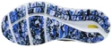Herren Laufschuhe Mizuno  Wave Skyrise Wave Skyrise 2 / Antarctica / Onyx / Violet Blue