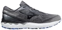 Herren Laufschuhe Mizuno  Wave Skyrise Wave Skyrise 2 / Antarctica / Onyx / Violet Blue