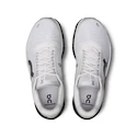 Herren Laufschuhe On Cloudmonster 2 Frost/Rock