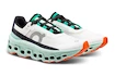 Herren Laufschuhe On Cloudmonster Undyed-White/Creek