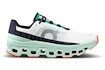 Herren Laufschuhe On Cloudmonster Undyed-White/Creek