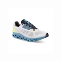 Herren Laufschuhe On  Cloudstratus Frost/Niagara