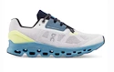 Herren Laufschuhe On  Cloudstratus Frost/Niagara