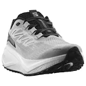 Herren Laufschuhe Salomon Aero Blaze 3 GRVL Lunar Rock/White/Black