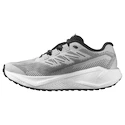 Herren Laufschuhe Salomon Aero Blaze 3 GRVL Lunar Rock/White/Black