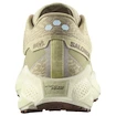 Herren Laufschuhe Salomon Aero Glide 3 GRVL Green Haze/Vanilla Ice/Russet