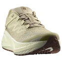 Herren Laufschuhe Salomon Aero Glide 3 GRVL Green Haze/Vanilla Ice/Russet