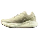 Herren Laufschuhe Salomon Aero Glide 3 GRVL Green Haze/Vanilla Ice/Russet