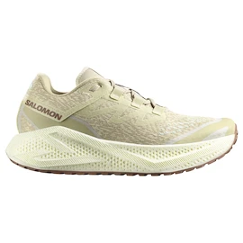 Herren Laufschuhe Salomon Aero Glide 3 GRVL Green Haze/Vanilla Ice/Russet