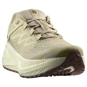 Herren Laufschuhe Salomon Aero Glide 3 GRVL Green Haze/Vanilla Ice/Russet